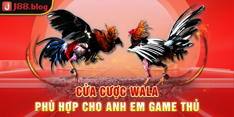 cua-cuoc-wala-phu-hop-cho-anh-em-game-thu